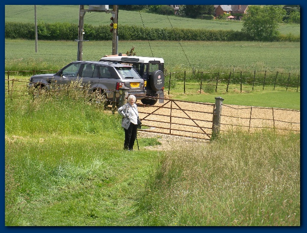 600x449 pixels (194K)